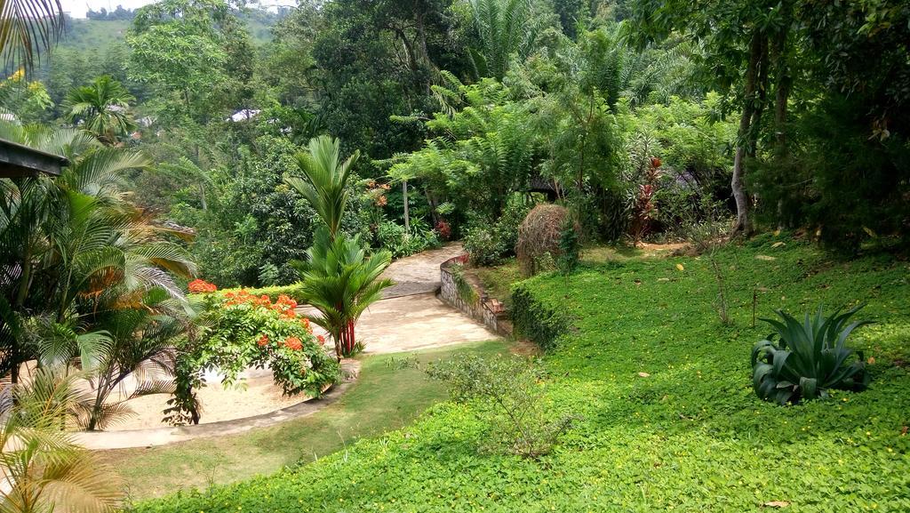 Apartamento Tea Leaf Retreat Kandy Exterior foto