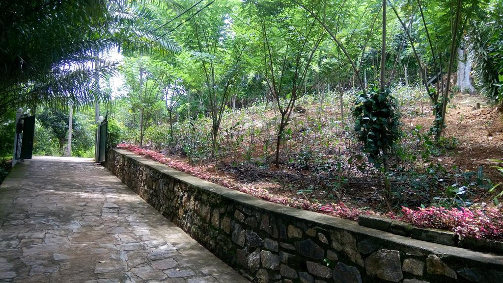 Apartamento Tea Leaf Retreat Kandy Exterior foto