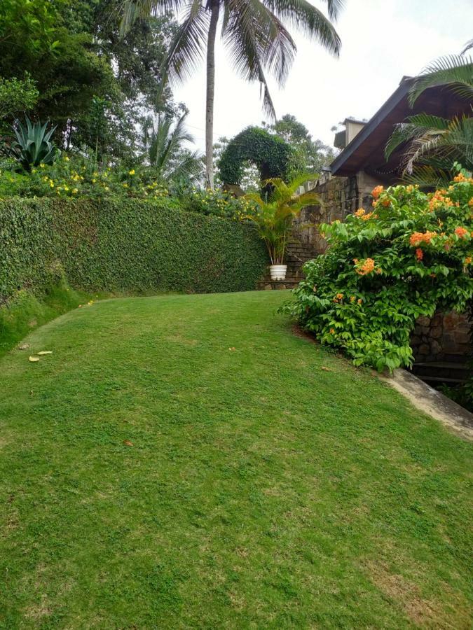 Apartamento Tea Leaf Retreat Kandy Exterior foto